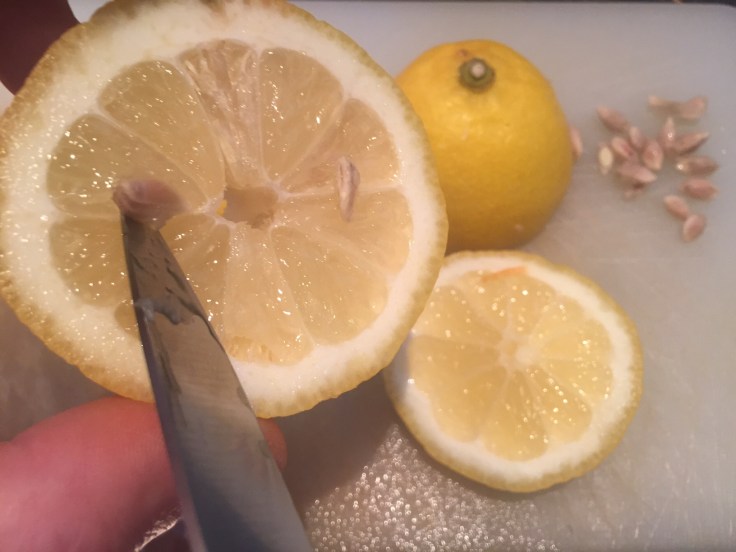 Prettaly_Bolognese_lemon