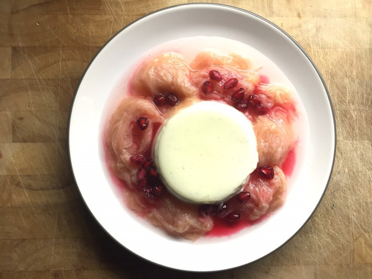 Prettaly_Yohgurt_PannaCotta_2.jpg