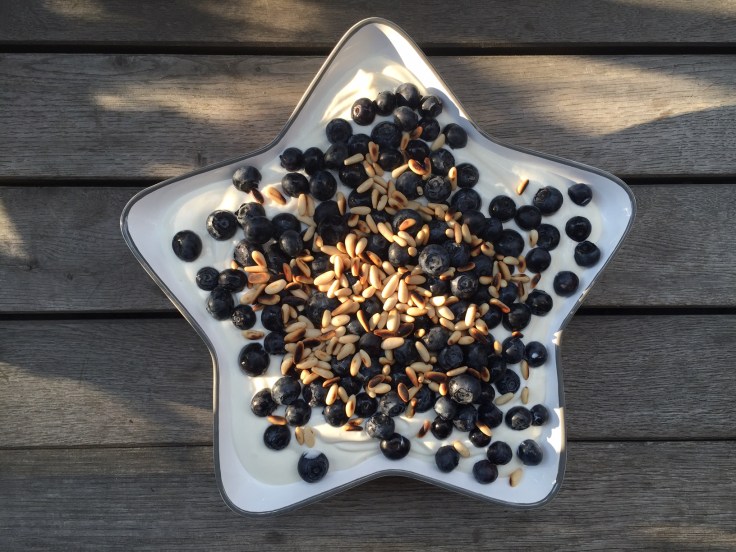 Prettaly_Curd_Blueberries_Pinenuts.JPG