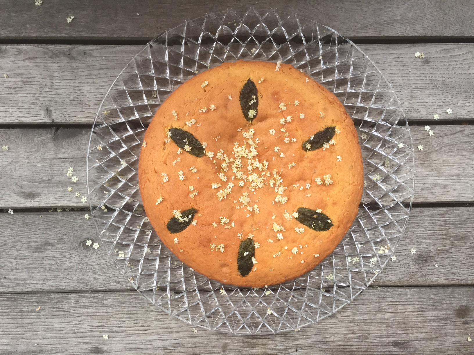 «Hugo» Cake (Elderflower & Prosecco) – Prettaly – Pretty Italy