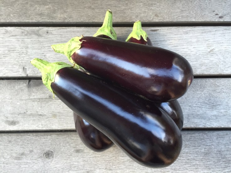 Prettaly_MelanzaneAllaParmigiana_Eggplants.jpg