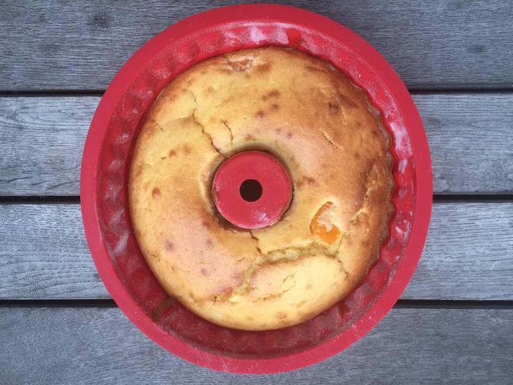 prettaly_tangerinesourcreambundtcake_oven1